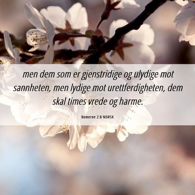 Picture 06 - Romerne 2:8 NORSK - men dem som er gjenstridige og ulydige mot - Bible Verse Picture