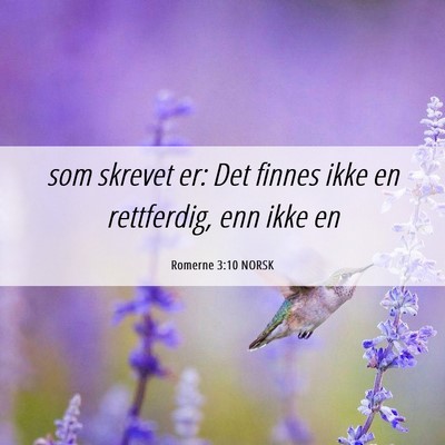 Picture 06 - Romerne 3:10 NORSK - som skrevet er: Det finnes ikke en rettferdig, - Bible Verse Picture