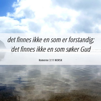 Picture 06 - Romerne 3:11 NORSK - det finnes ikke en som er forstandig; det finnes - Bible Verse Picture