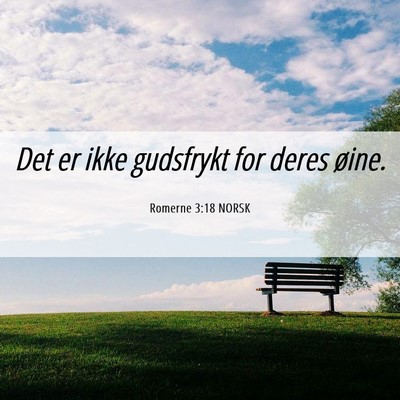 Picture 06 - Romerne 3:18 NORSK - Det er ikke gudsfrykt for deres - Bible Verse Picture