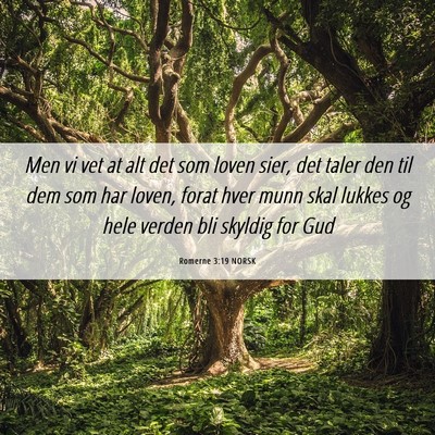 Picture 06 - Romerne 3:19 NORSK - Men vi vet at alt det som loven sier, det taler - Bible Verse Picture