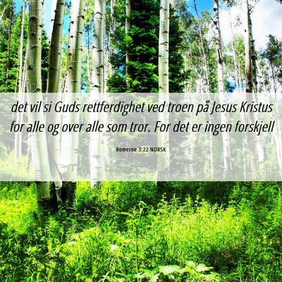 Picture 06 - Romerne 3:22 NORSK - det vil si Guds rettferdighet ved troen på Jesus - Bible Verse Picture