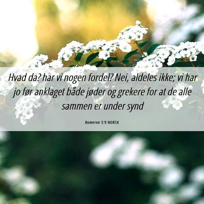 Picture 06 - Romerne 3:9 NORSK - Hvad da? har vi nogen fordel? Nei, aldeles ikke; - Bible Verse Picture
