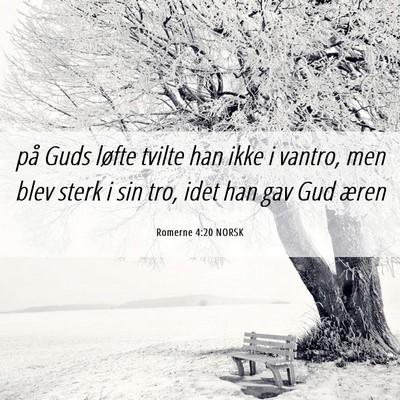 Picture 06 - Romerne 4:20 NORSK - på Guds løfte tvilte han ikke i vantro, men - Bible Verse Picture