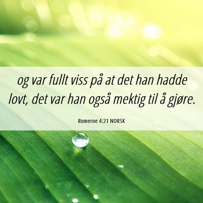 Picture 06 - Romerne 4:21 NORSK - og var fullt viss på at det han hadde lovt, det - Bible Verse Picture