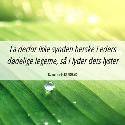 Picture 06 - Romerne 6:12 NORSK - La derfor ikke synden herske i eders dødelige - Bible Verse Picture