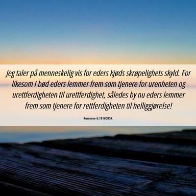 Picture 06 - Romerne 6:19 NORSK - Jeg taler på menneskelig vis for eders kjøds - Bible Verse Picture