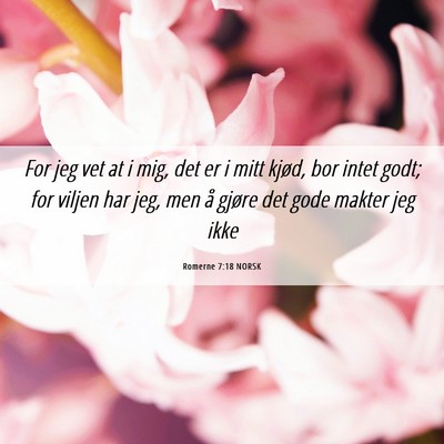 Picture 06 - Romerne 7:18 NORSK - For jeg vet at i mig, det er i mitt kjød, bor - Bible Verse Picture