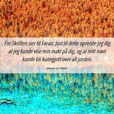 Picture 06 - Romerne 9:17 NORSK - For Skriften sier til Farao: Just til dette - Bible Verse Picture