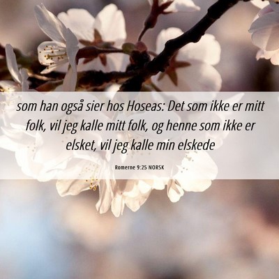 Picture 06 - Romerne 9:25 NORSK - som han også sier hos Hoseas: Det som ikke er - Bible Verse Picture