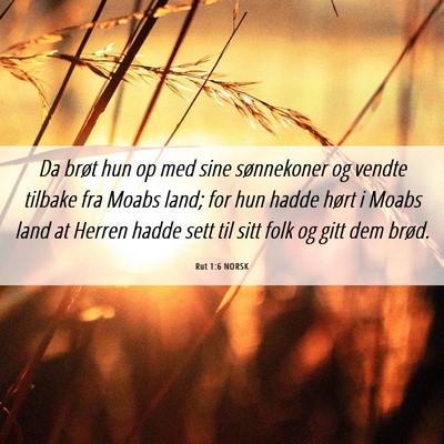 Picture 06 - Rut 1:6 NORSK - Da brøt hun op med sine sønnekoner og vendte - Bible Verse Picture