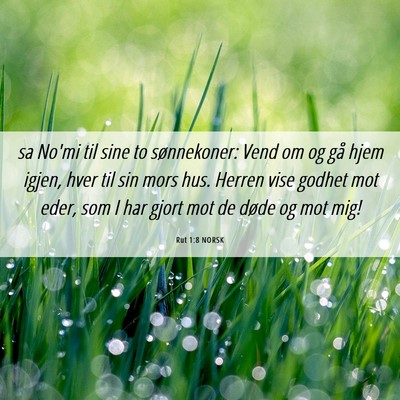 Picture 06 - Rut 1:8 NORSK - sa No'mi til sine to sønnekoner: Vend om og gå - Bible Verse Picture