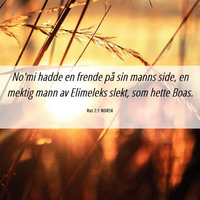 Picture 06 - Rut 2:1 NORSK - No'mi hadde en frende på sin manns side, en - Bible Verse Picture