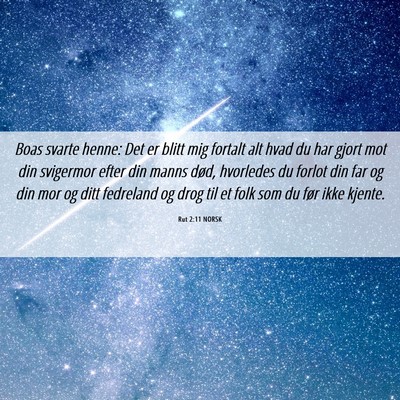Picture 06 - Rut 2:11 NORSK - Boas svarte henne: Det er blitt mig fortalt alt - Bible Verse Picture