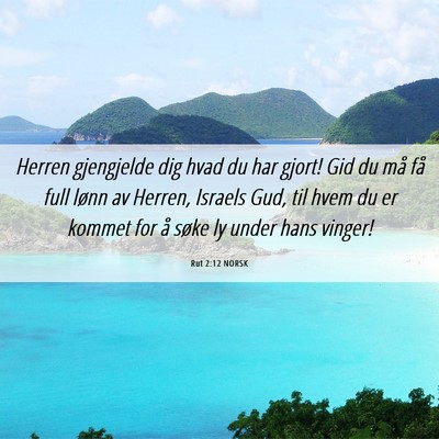Picture 06 - Rut 2:12 NORSK - Herren gjengjelde dig hvad du har gjort! Gid du - Bible Verse Picture