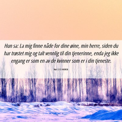 Picture 06 - Rut 2:13 NORSK - Hun sa: La mig finne nåde for dine øine, min - Bible Verse Picture