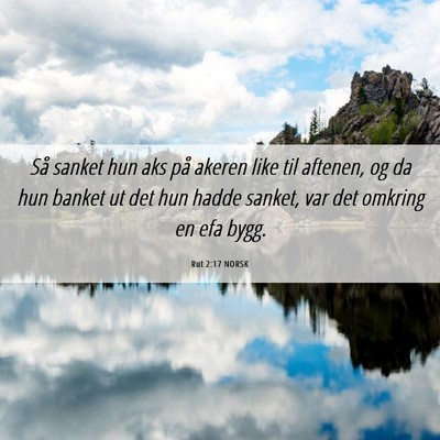 Picture 06 - Rut 2:17 NORSK - Så sanket hun aks på akeren like til aftenen, - Bible Verse Picture
