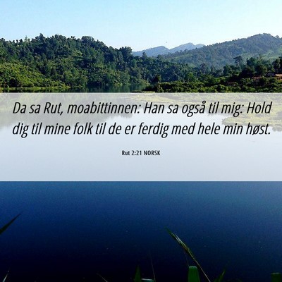 Picture 06 - Rut 2:21 NORSK - Da sa Rut, moabittinnen: Han sa også til mig: - Bible Verse Picture