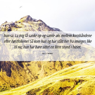 Picture 06 - Rut 2:7 NORSK - hun sa: La mig få sanke op og samle aks mellem - Bible Verse Picture