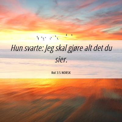 Picture 06 - Rut 3:5 NORSK - Hun svarte: Jeg skal gjøre alt det du - Bible Verse Picture