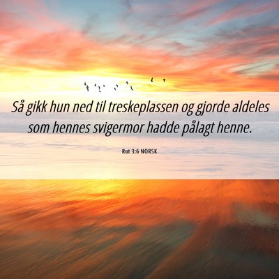 Picture 06 - Rut 3:6 NORSK - Så gikk hun ned til treskeplassen og gjorde - Bible Verse Picture