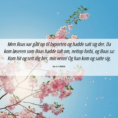 Picture 06 - Rut 4:1 NORSK - Men Boas var gått op til byporten og hadde satt - Bible Verse Picture