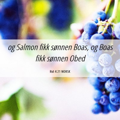 Picture 06 - Rut 4:21 NORSK - og Salmon fikk sønnen Boas, og Boas fikk sønnen - Bible Verse Picture