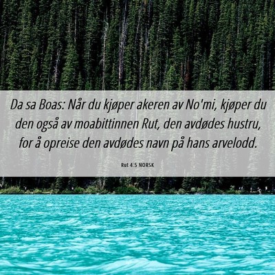 Picture 06 - Rut 4:5 NORSK - Da sa Boas: Når du kjøper akeren av No'mi, - Bible Verse Picture