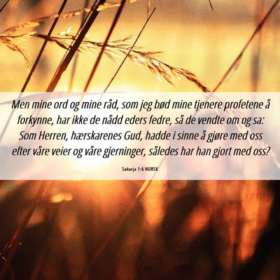 Picture 06 - Sakarja 1:6 NORSK - Men mine ord og mine råd, som jeg bød mine - Bible Verse Picture