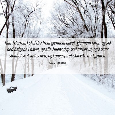 Picture 06 - Sakarja 10:11 NORSK - Han {Herren.} skal dra frem gjennem havet, - Bible Verse Picture