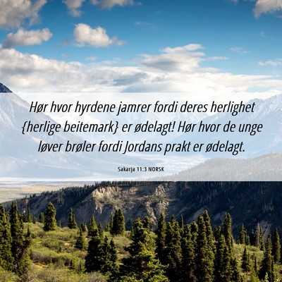 Picture 06 - Sakarja 11:3 NORSK - Hør hvor hyrdene jamrer fordi deres herlighet - Bible Verse Picture