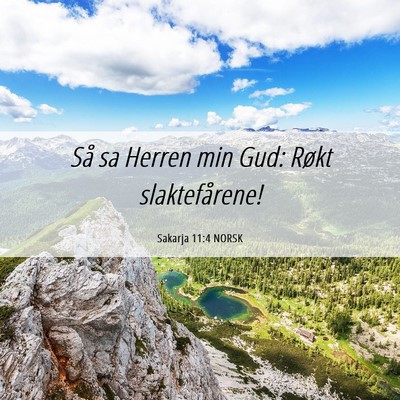 Picture 06 - Sakarja 11:4 NORSK - Så sa Herren min Gud: Røkt - Bible Verse Picture