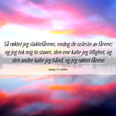 Picture 06 - Sakarja 11:7 NORSK - Så røktet jeg slaktefårene, endog de usleste - Bible Verse Picture