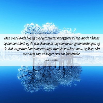 Picture 06 - Sakarja 12:10 NORSK - Men over Davids hus og over Jerusalems innbyggere - Bible Verse Picture