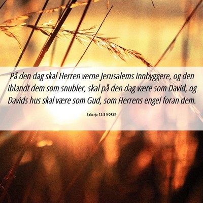 Picture 06 - Sakarja 12:8 NORSK - På den dag skal Herren verne Jerusalems - Bible Verse Picture