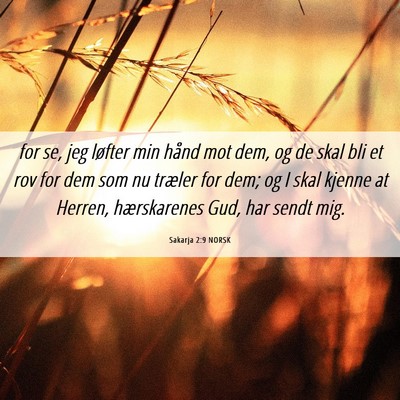 Picture 06 - Sakarja 2:9 NORSK - for se, jeg løfter min hånd mot dem, og de skal - Bible Verse Picture
