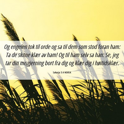 Picture 06 - Sakarja 3:4 NORSK - Og engelen tok til orde og sa til dem som stod - Bible Verse Picture