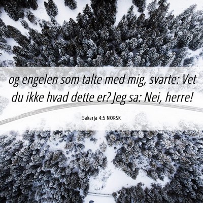 Picture 06 - Sakarja 4:5 NORSK - og engelen som talte med mig, svarte: Vet du ikke - Bible Verse Picture