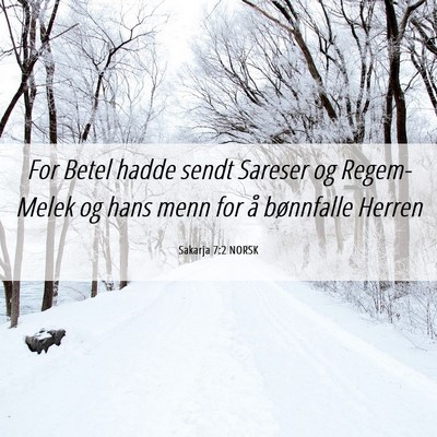 Picture 06 - Sakarja 7:2 NORSK - For Betel hadde sendt Sareser og Regem-Melek og - Bible Verse Picture