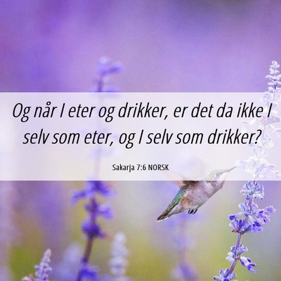 Picture 06 - Sakarja 7:6 NORSK - Og når I eter og drikker, er det da ikke I selv - Bible Verse Picture
