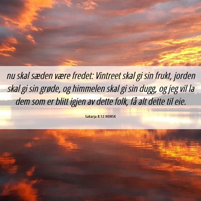Picture 06 - Sakarja 8:12 NORSK - nu skal sæden være fredet: Vintreet skal gi sin - Bible Verse Picture