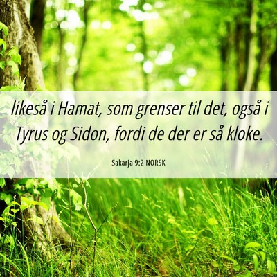 Picture 06 - Sakarja 9:2 NORSK - likeså i Hamat, som grenser til det, også i - Bible Verse Picture
