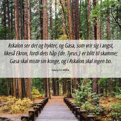 Picture 06 - Sakarja 9:5 NORSK - Askalon ser det og frykter, og Gasa, som vrir sig - Bible Verse Picture