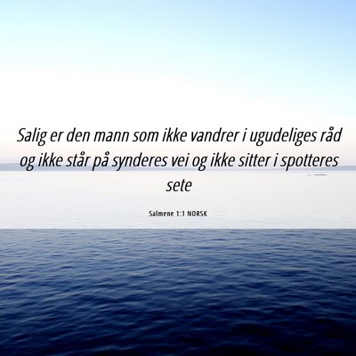 Picture 06 - Salmene 1:1 NORSK - Salig er den mann som ikke vandrer i ugudeliges - Bible Verse Picture