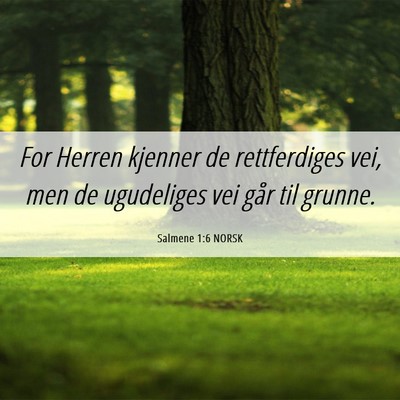 Picture 06 - Salmene 1:6 NORSK - For Herren kjenner de rettferdiges vei, men de - Bible Verse Picture