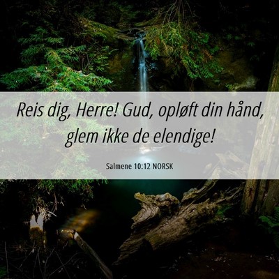 Picture 06 - Salmene 10:12 NORSK - Reis dig, Herre! Gud, opløft din hånd, glem - Bible Verse Picture