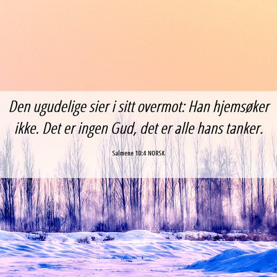 Picture 06 - Salmene 10:4 NORSK - Den ugudelige sier i sitt overmot: Han hjemsøker - Bible Verse Picture
