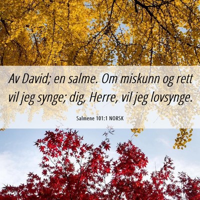 Picture 06 - Salmene 101:1 NORSK - Av David; en salme. Om miskunn og rett vil jeg - Bible Verse Picture