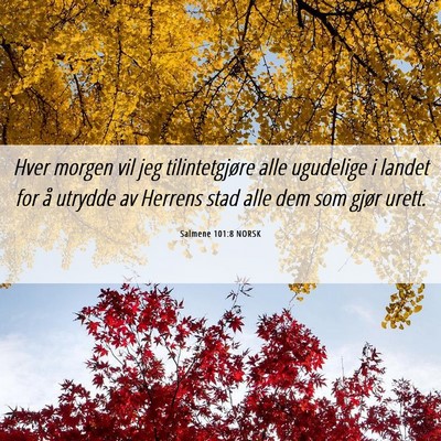 Picture 06 - Salmene 101:8 NORSK - Hver morgen vil jeg tilintetgjøre alle ugudelige - Bible Verse Picture