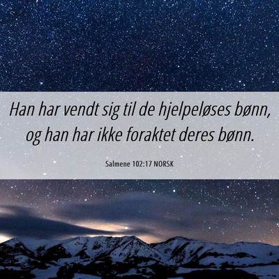 Picture 06 - Salmene 102:17 NORSK - Han har vendt sig til de hjelpeløses bønn, og - Bible Verse Picture